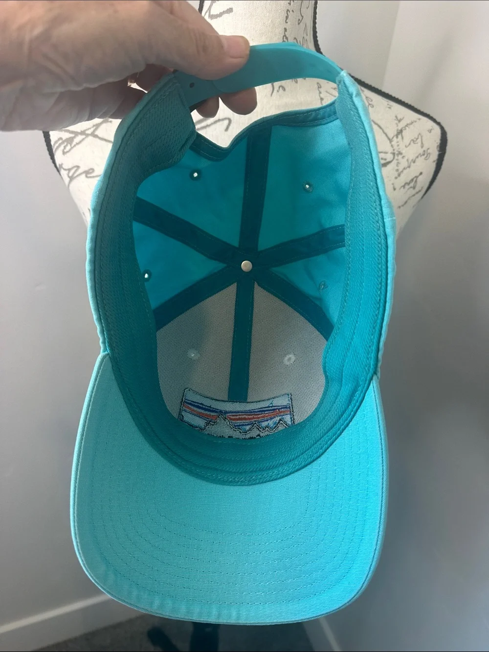 Patagonia White & Aqua Blue Trucker Cap with Mountain Patch